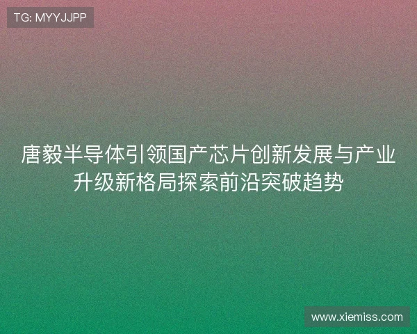 唐毅半导体引领国产芯片创新发展与产业升级新格局探索前沿突破趋势